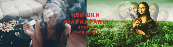 прущие крисы Арсеньев