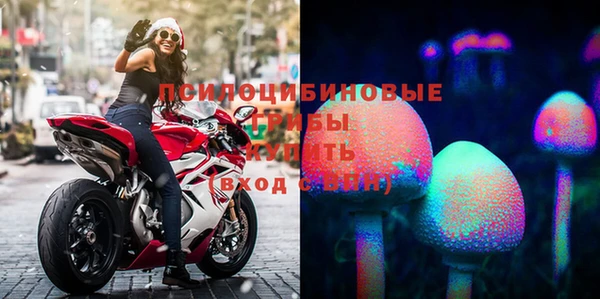 прущие крисы Арсеньев