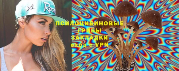 прущие крисы Арсеньев